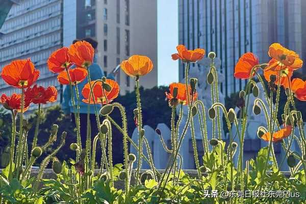 电子厂喷涂部门怎么样?喷涂是干嘛的