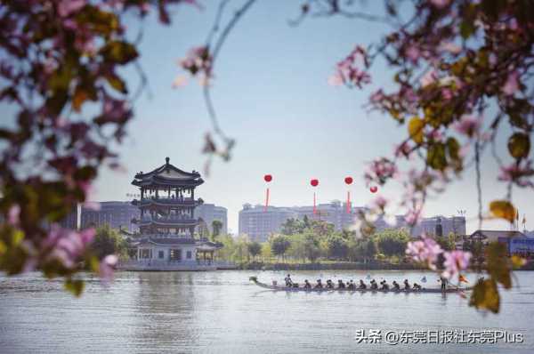 东莞市华阳湖湿地公园景区获评国家4A级