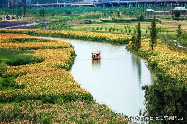 东莞市华阳湖湿地公园景区获评国家4A级