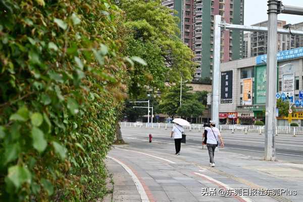 东莞夏天什么时候开始?东莞夏天是几月到几月