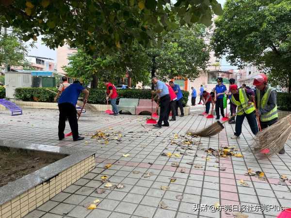 东莞洁净城市活动日:“文”风而动 有条有“礼”