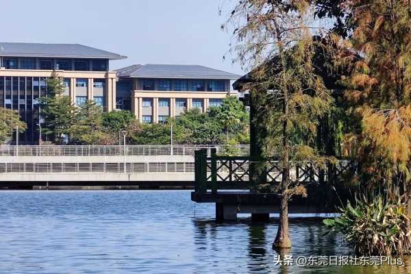 东莞大学有哪些?2023东莞大学排名一览表