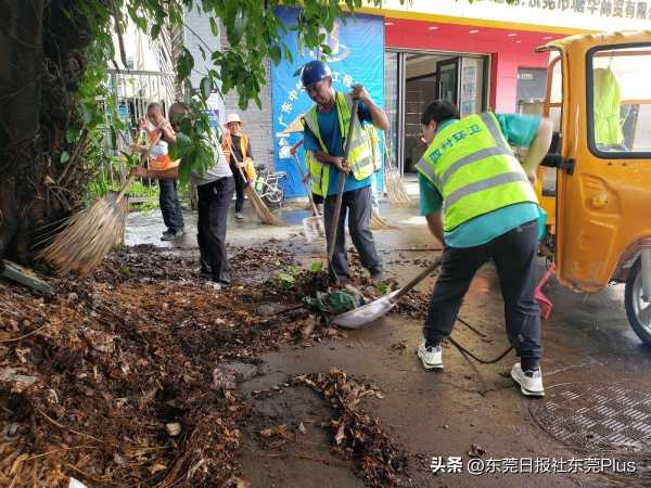 东莞洁净城市活动日:“文”风而动 有条有“礼”