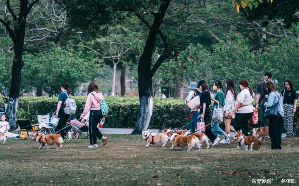 东莞适合年轻人发展吗?定居在东莞的真实感受