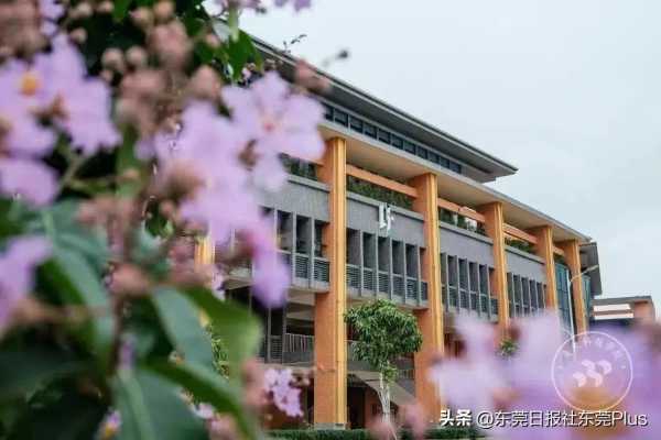 东莞大学有哪些?2023东莞大学排名一览表