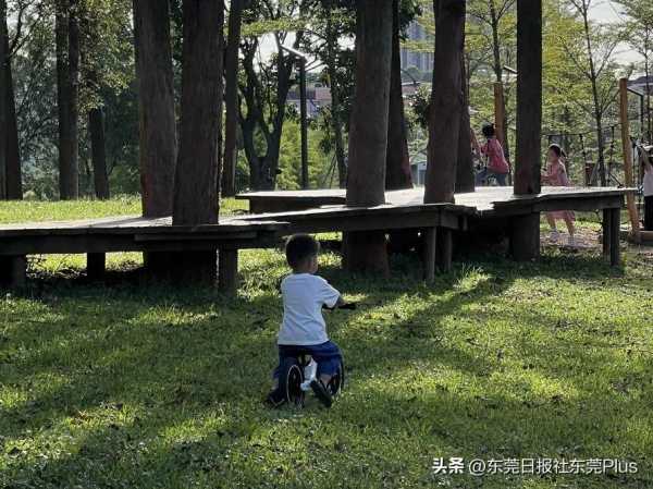 东莞黄旗南香遇走廊!市中心的「秘密森林」