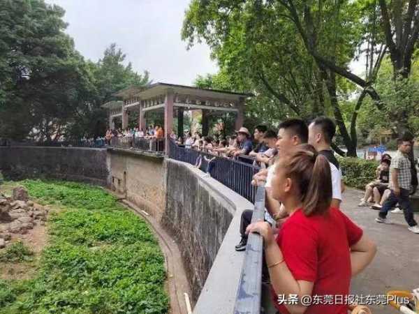 进厂不会做会被开除吗?进厂被人嫌弃手慢开除了