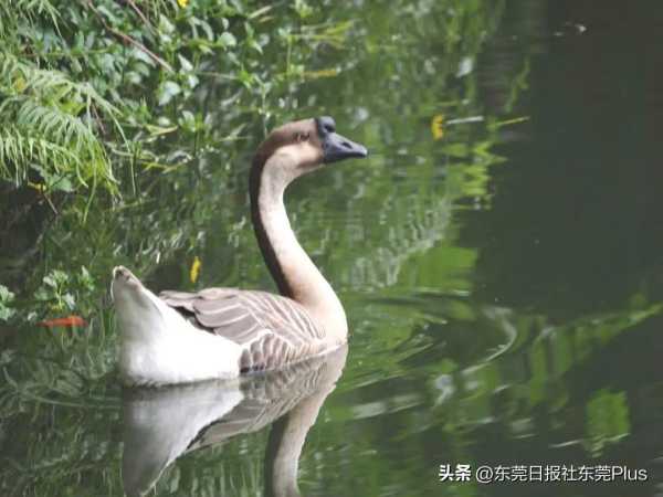 女生进厂的目的是什么?女孩子进厂的目的很简单