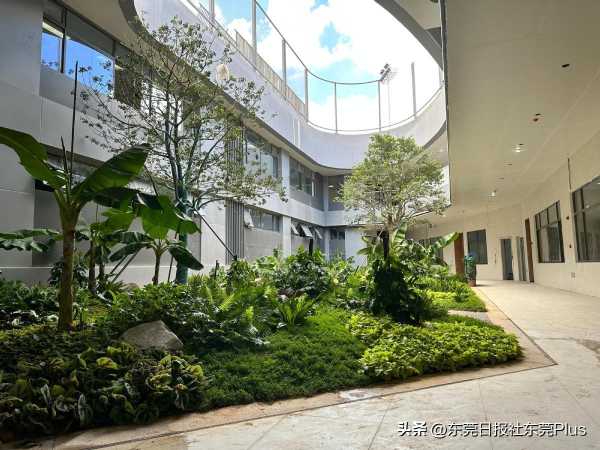 东莞北部学校怎么样?首个绿建三星标准校园