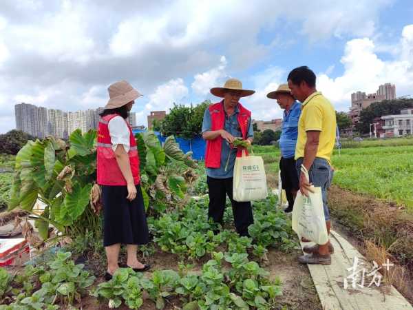 东莞高埗经济怎么样?建设制造业强镇