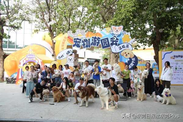 莞香印巷在哪里?东莞宠物游园会开园啦