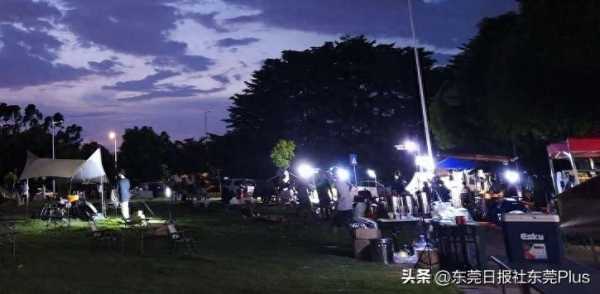 东莞夜景网红打卡点,东莞休闲娱乐好去处