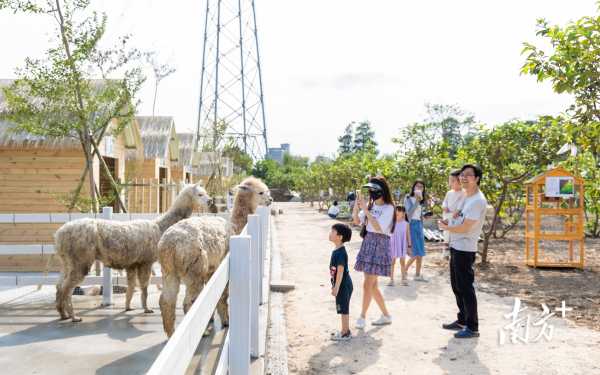 东莞滨海湾在哪个镇?打造活力都会区