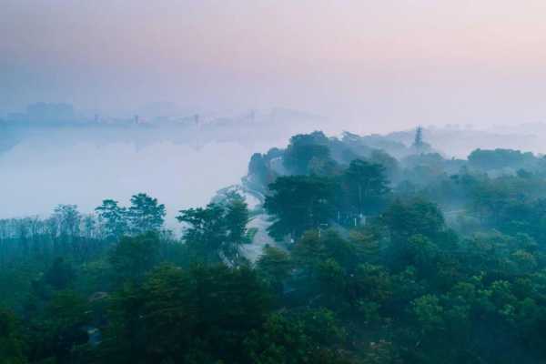 特种兵式旅游为什么火了?东莞特种兵旅游攻略