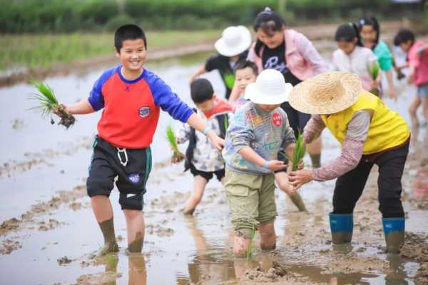 特种兵式旅游为什么火了?东莞特种兵旅游攻略