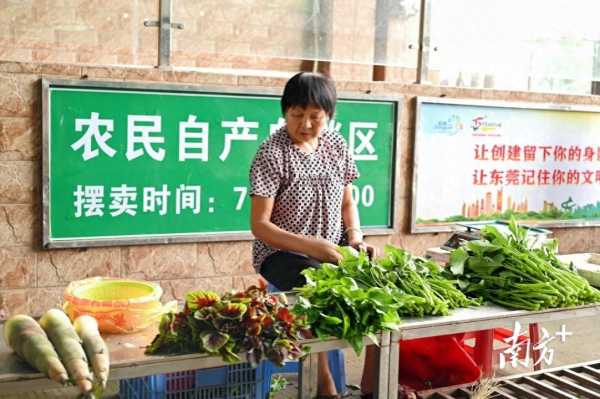 厚街桥头市场大变样!小巷子没有了