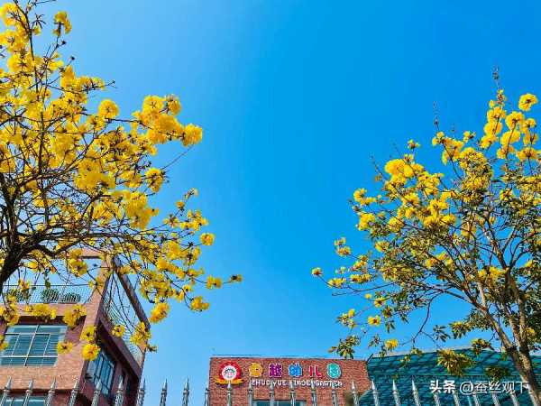 东莞茶山镇富裕吗现在?东莞茶山是哪个区