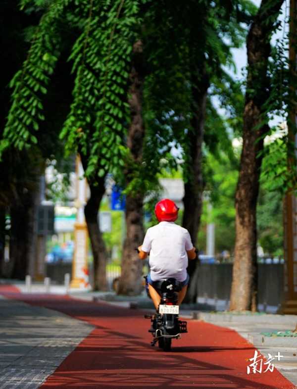 东莞厚街现在怎么样了?“最美公路”再升级