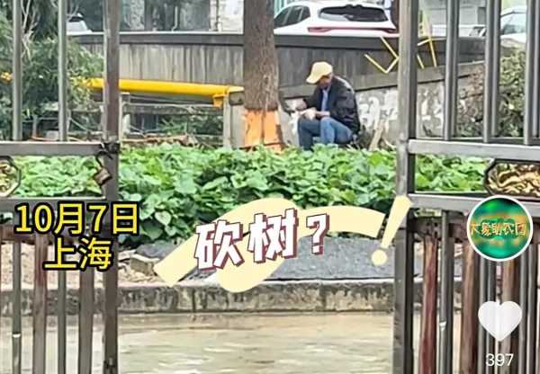 律师：老人花坛里砍树种菜违法