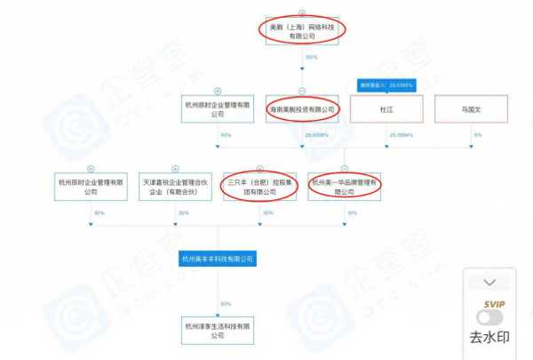 大小杨哥旗下已有超40家企业