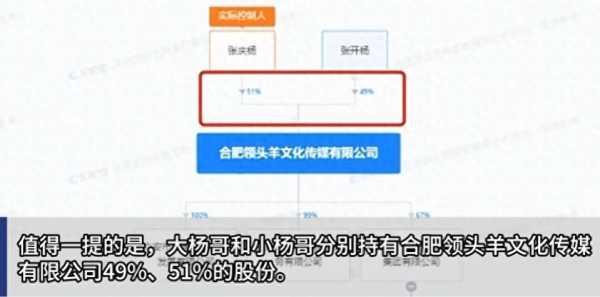 大小杨哥旗下已有超40家企业