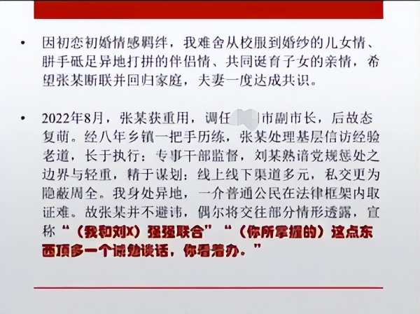 副市长与同事暧昧 妻子被逼离婚