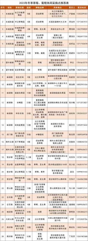 024东莞草莓、葡萄园采摘地址攻略来了"