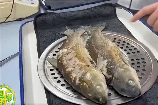 中国科学家研究出无刺草鱼